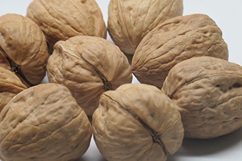 Bulk Walnuts